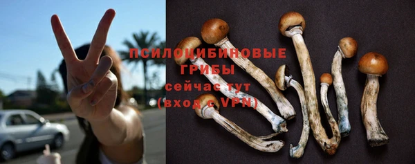 прущие грибы Алексин