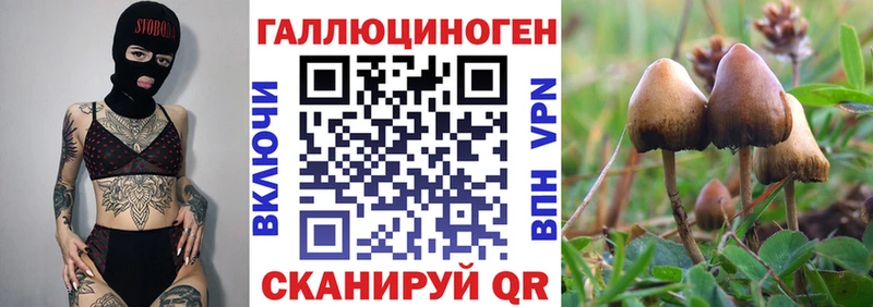 Купить где  Кумертау  Псилоцибиновые грибы Magic Shrooms 